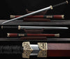 Xuanwu Tortoise & Snake Han Jian Hand Forged Folded Steel Blade Tai Chi Zhenwu Sword