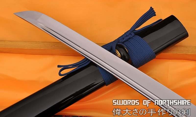 Hand Forged 1060 High Carbon Skyrim Blades Sword Dragon & Snake Martial Arts Iaito Katana