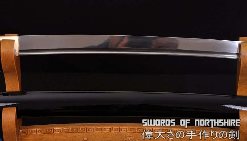 Hand Forged 1060 High Carbon Skyrim Blades Sword Dragon & Snake Martial Arts Iaito Katana