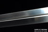 Warrior's Respite Chinese Sword Hand Forged Folded Steel Blade Battle Ready Tai Chi Jian