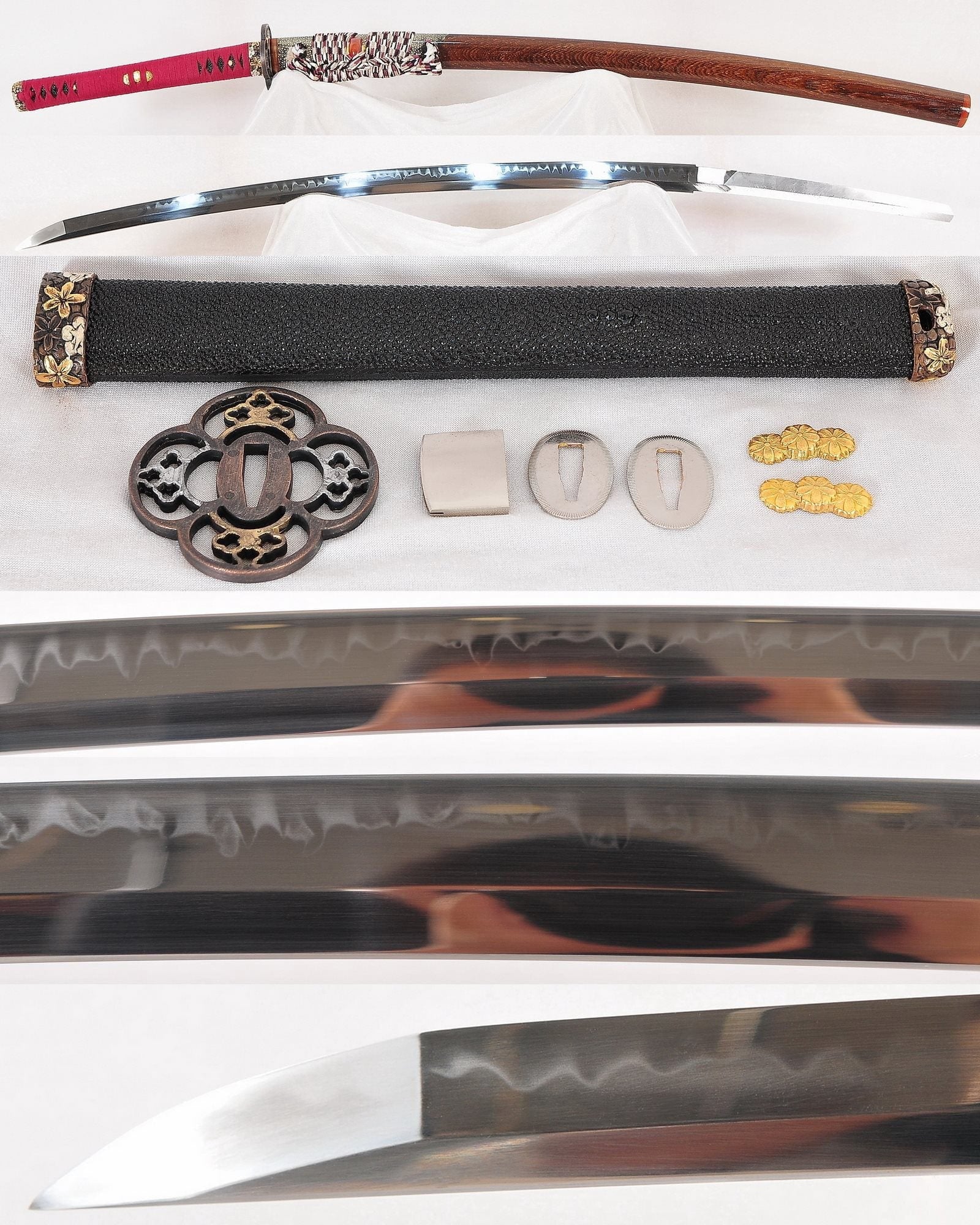 Veb-kamerada porno video korsatiladi Ayol vaginal anatomiyasi fotosurati