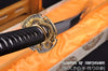 Hand Forged 1060 High Carbon Steel Blade Martial Arts Iaito Golden Dragon Katana