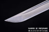 Hand Forged Folded Damascus Steel Straight Blade Shirasaya Samurai Ninja Sword