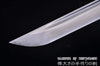 Hand Forged Folded Damascus Steel Ninjato Straight Blade Samurai Ninja Chokuto Sword