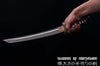 Hand Forged 1060 High Carbon Steel Blade Knife Full Tang Samurai Tanto Sword