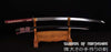 Hand Forged Folded Damascus Steel Clay Tempered Blood Dragon Katana Samurai Sword