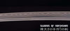 Hand Forged Folded Damascus Steel Clay Tempered Musashi Dragon Katana Samurai Sword