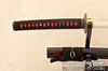 Blood Warrior Hand Forged 9260 Spring Steel Japanese Samurai Sword Battle Ready Katana