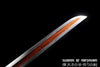 Brotherhood of Blades Dao Folded Steel Chinese Embroidered Uniform Guard Miaodao Sword