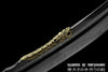 Qing Dao Folded Steel Blade Full Stingray Skin Wrap Chinese Martial Arts Sword Hazuya Polish