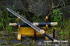 1095 High Carbon Steel Etched Blade Han Jian Gold Dragon Chinese Martial Arts Tai Chi Sword