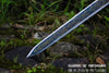 1095 High Carbon Steel Etched Blade Han Jian Gold Dragon Chinese Martial Arts Tai Chi Sword