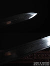 Black Dragon Jian Hand Forged Eight-Sided Folded Steel Blade Battle Ready Tai Chi Sword