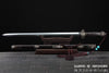 Ebony Dragon Jian Hand Forged Clay Tempered & Folded Steel Blade Battle Ready Chinese Jian Sword