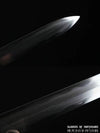 Ebony Dragon Jian Hand Forged Clay Tempered & Folded Steel Blade Battle Ready Chinese Jian Sword