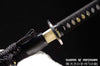 Hand Forged Kazuki Japanese IAITO Katana