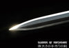 Han Jian Damascus Steel Blade Kung Fu Chinese Martial Arts Tai Chi Sword Forged by Shenzhou