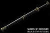 Coral Snake Jian Pattern Steel Blade Kung Fu Chinese Martial Arts Wushu Tai Chi Sword