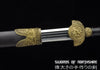 Three Dragons Longsword Pattern Steel Blade Kung Fu Chinese Martial Arts Tai Chi Jian Sword