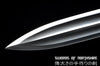 Chinese Tiger God Jian Pattern Steel Blade Kung Fu Martial Arts Wushu Tai Chi Sword