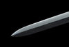 Nine-Dragon Jian Damascus Steel Blade Kung Fu Chinese Martial Arts Wushu Tai Chi Sword
