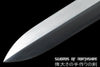 Eight Immortals Jian Pattern Steel Blade Kung Fu Chinese Martial Arts Wushu Tai Chi Sword