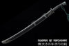 Iron Dragon Chinese Sword Clay Tempered & Folded Steel Blade Full Rayskin Wrap Tai Chi Dao