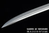 Iron Dragon Chinese Sword Clay Tempered & Folded Steel Blade Full Rayskin Wrap Tai Chi Dao