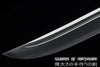 Iron Dragon Chinese Sword Clay Tempered & Folded Steel Blade Full Rayskin Wrap Tai Chi Dao