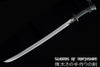Iron Dragon Chinese Sword Clay Tempered & Folded Steel Blade Full Rayskin Wrap Tai Chi Dao