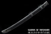 Iron Dragon Chinese Sword Clay Tempered & Folded Steel Blade Full Rayskin Wrap Tai Chi Dao