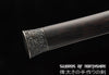 Han Dynasty Jian Hand Forged Folded Steel Blade Chinese Martial Arts Wushu Tai Chi Sword