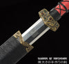 Han Dynasty Jian Ruby & Turqoise Hand Forged Folded Steel Blade Chinese Wushu Tai Chi Sword