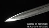 Han Dynasty Jian Ruby & Turqoise Hand Forged Folded Steel Blade Chinese Wushu Tai Chi Sword